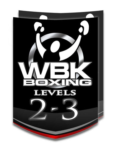 Level 2/3, Round 3, January-February 2015