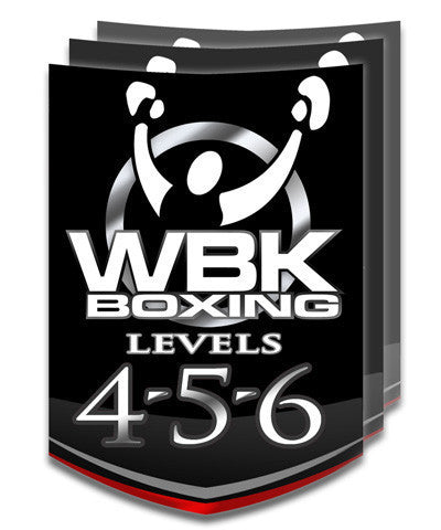 Levels 4/5/6, Round 3, January-February 2016