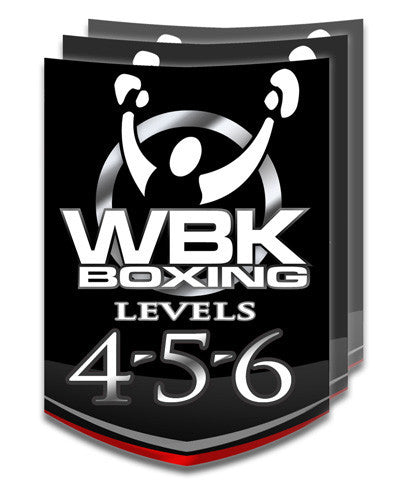 Level 4/5/6, Round 2, November-December 2014