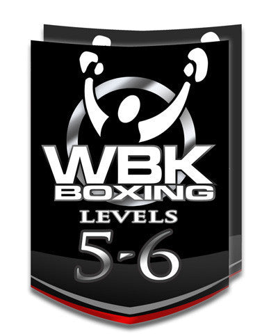 Levels 5/6, Round 3, January-February 2016