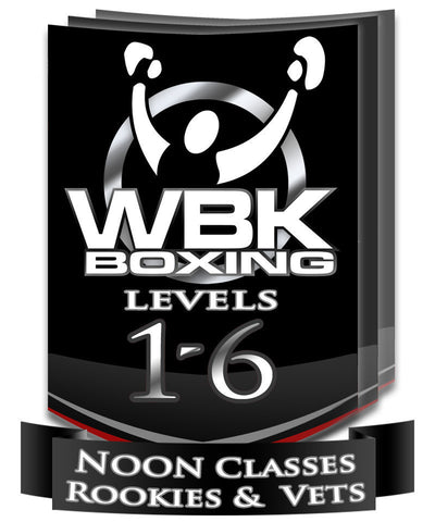 Levels 1-6 Lunchtime Classes, Round 3, January-February 2015