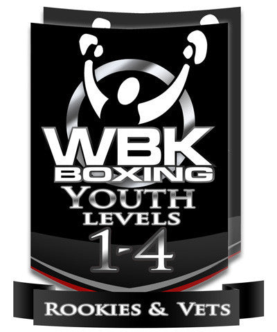 Youth Level 1-4 boxing